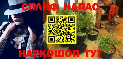 ГАЛЛЮЦИНОГЕННЫЕ ГРИБЫ Будённовск