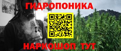ГАЛЛЮЦИНОГЕННЫЕ ГРИБЫ Будённовск